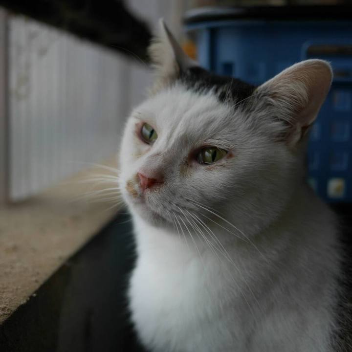 163d62e3 431f 4fb7 b940 cf2ee6c413e1