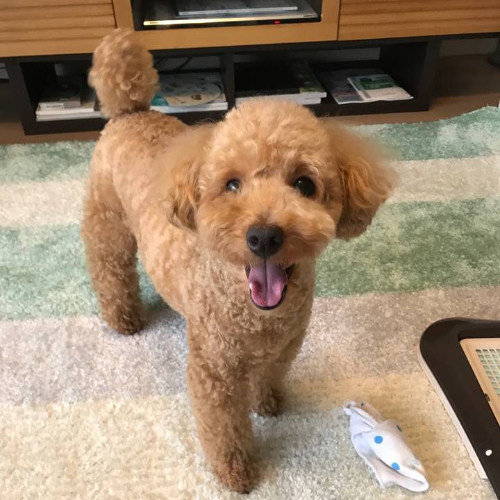 163d68ae 22a4 4630 9975 440cfd069729