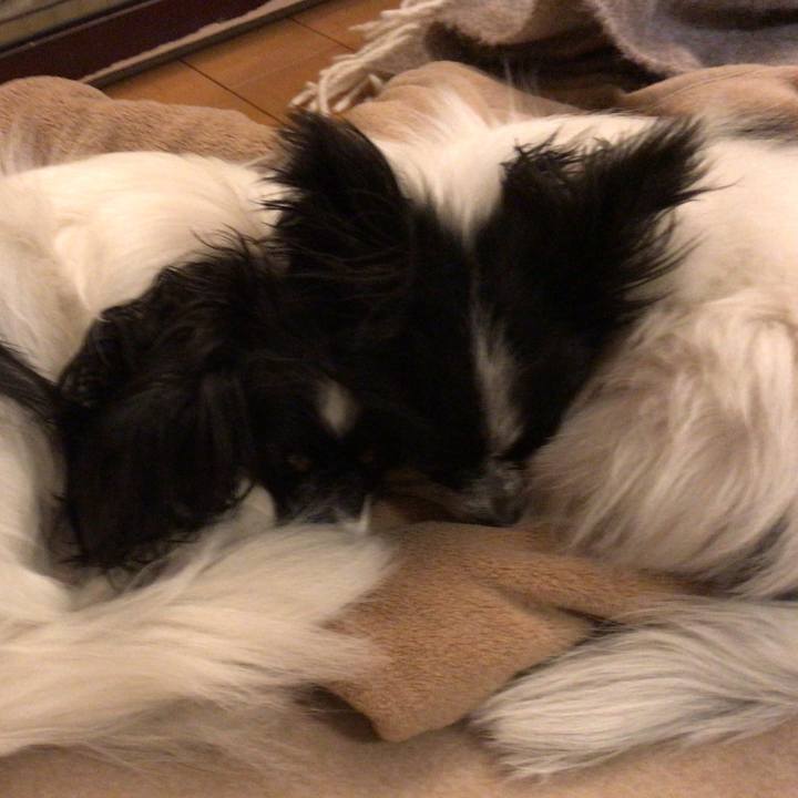 163e0c9f fa2f 4635 a56f 574ec49160f8