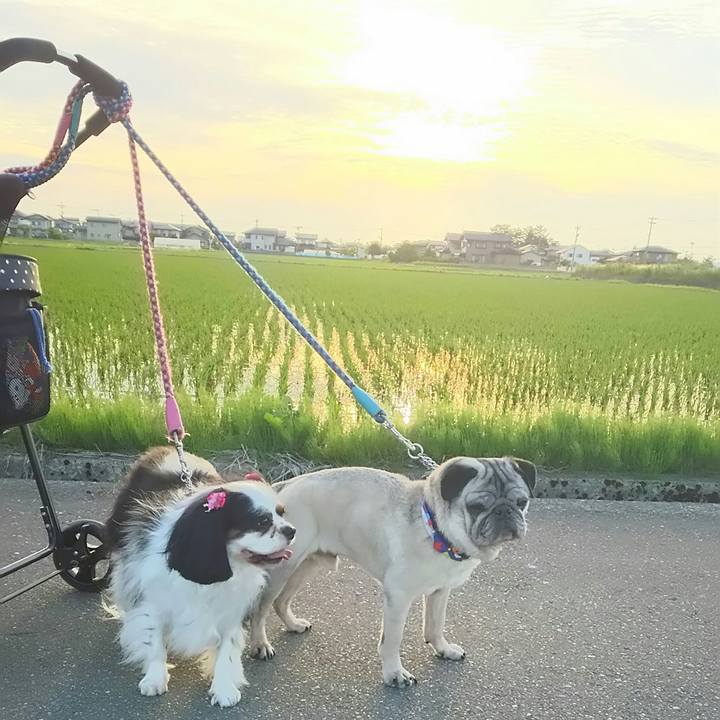 163e3aa2 8707 48aa bcc8 01d92a7c0a75