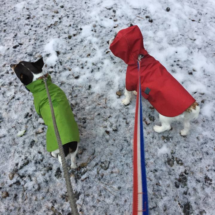 163e6a4d a1f0 45d3 87a6 70909b181756