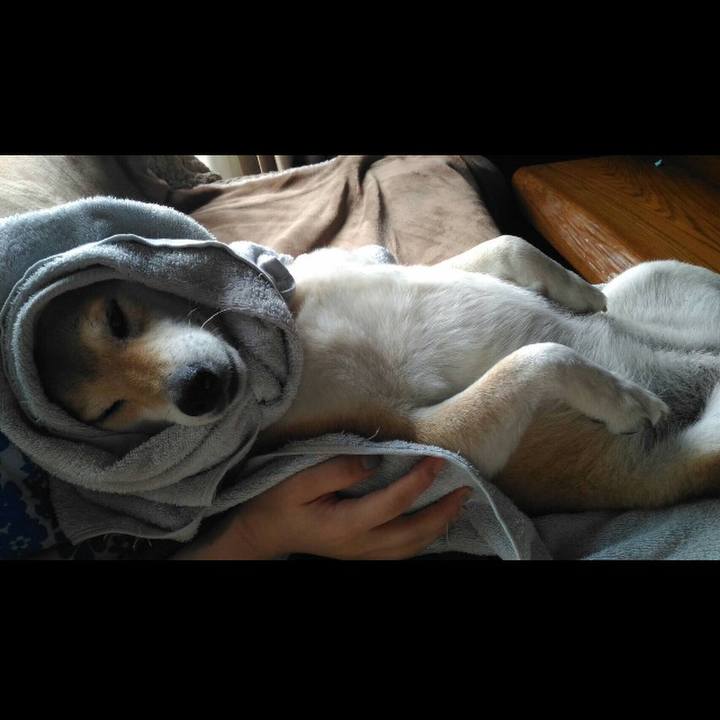 163ee4e5 0fb2 4db8 a5ab 615a79f32319