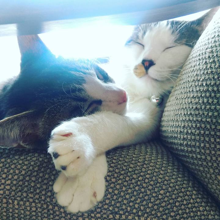 163f23fc 721a 40be a64e 19f165d11b19