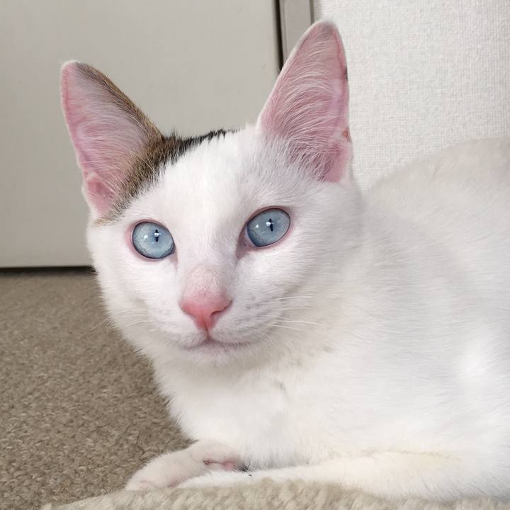 163f594d 058e 43e4 87c6 42e266753c4a