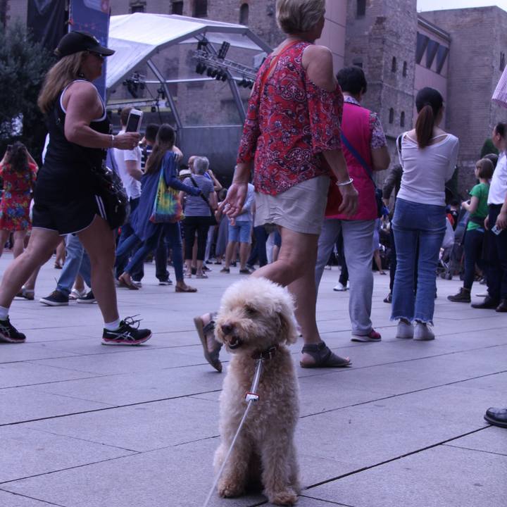 163fb49e fe26 42b0 bd87 cb8ba25fea34