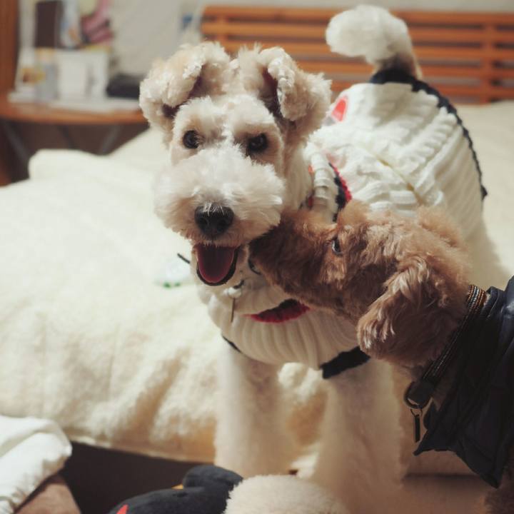 16406a00 37b3 4818 8ffc 4513110fa553