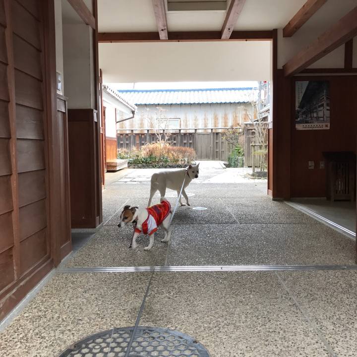 1640cd62 6afb 4f32 b9ca 5477d6516460