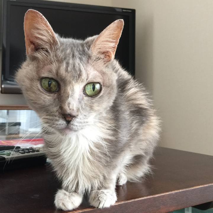 1640f0e1 29e2 4bc6 995e d7e6c102c190