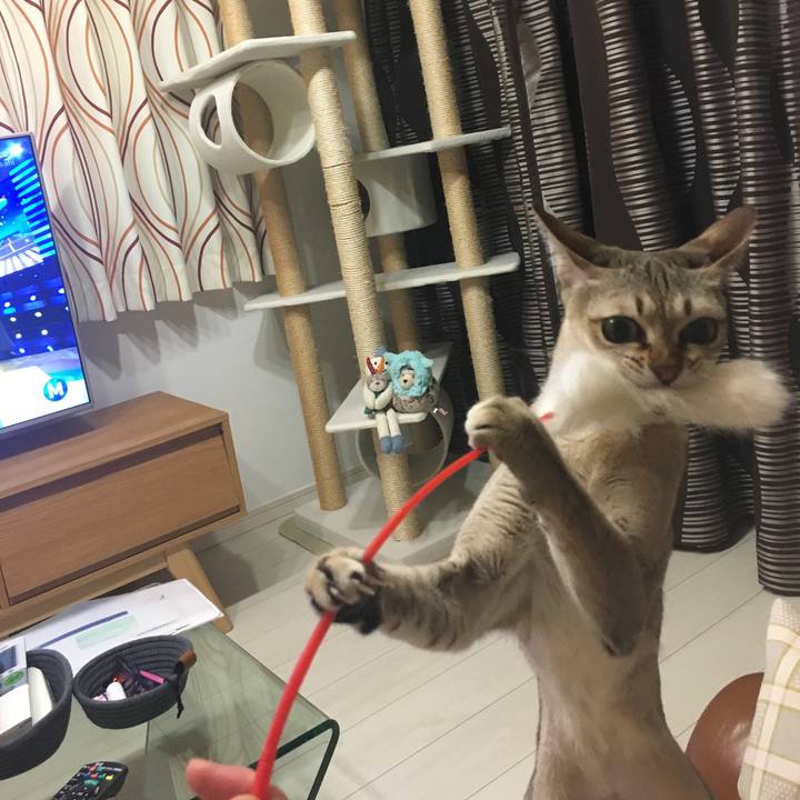 1640f362 97a0 466f 80d1 3aceeaaf5be7