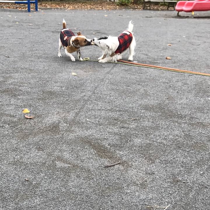 164148e8 df33 4f41 8808 a66639884eab