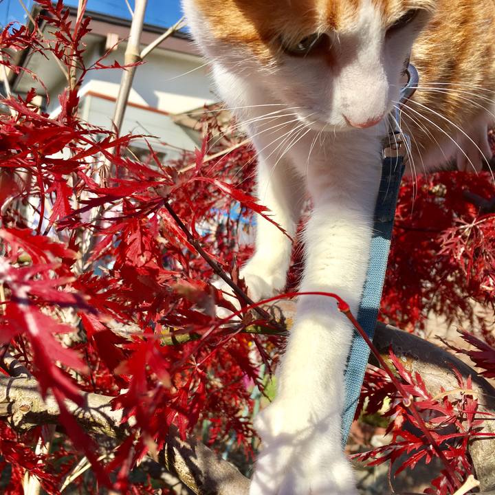 16414c9f 7b5f 498e befd 6c2dcc1ac6e1