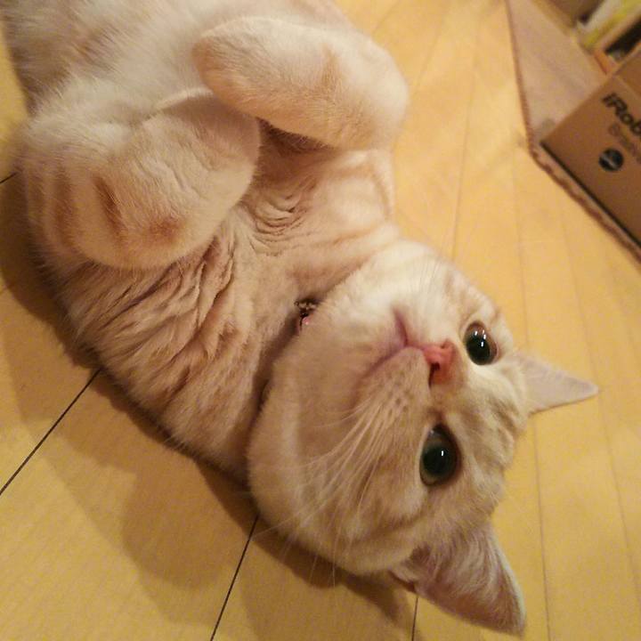 1642630f ee40 4e5b aa57 15749dab6815