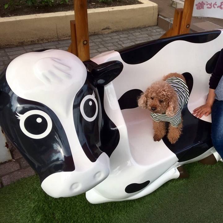 164295d8 d90e 479c ad1c 48fe3b4a2dd3