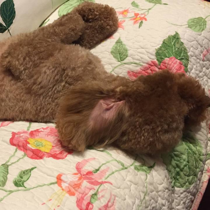 1642b7b2 e2f0 46b8 a253 0646f554d211