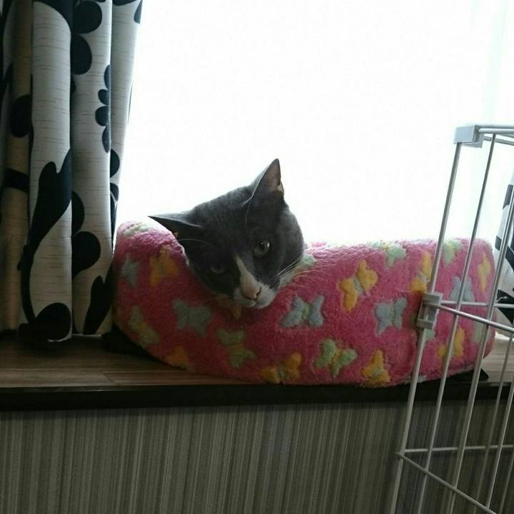 1642da84 42bf 4739 af6a 8a9b2d0c9ac4