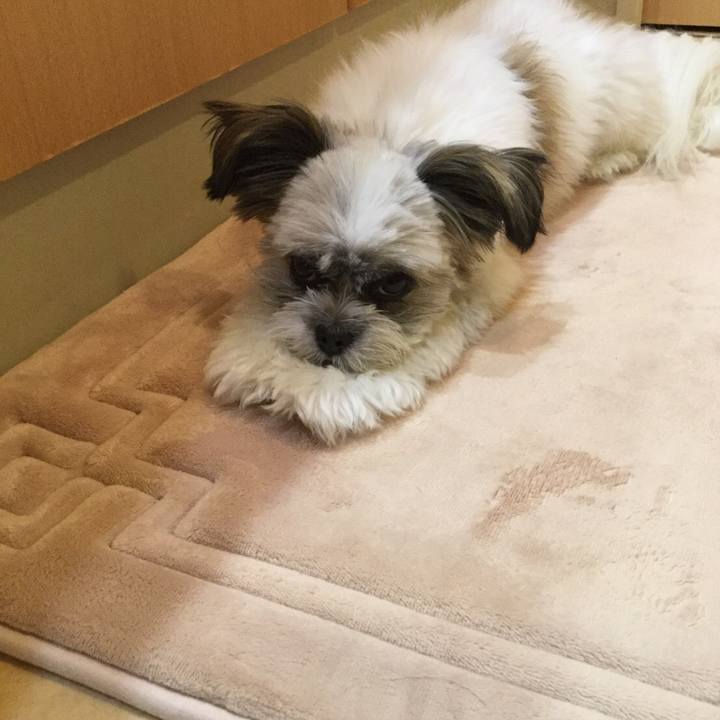 1643021a 4849 4be4 8914 32f57958d463