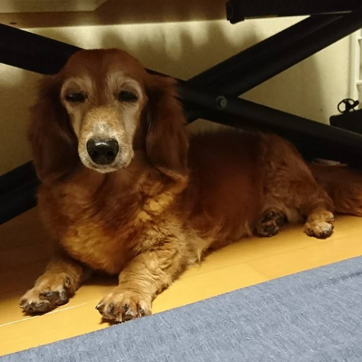 16436692 3836 4664 bd8a 490941051277