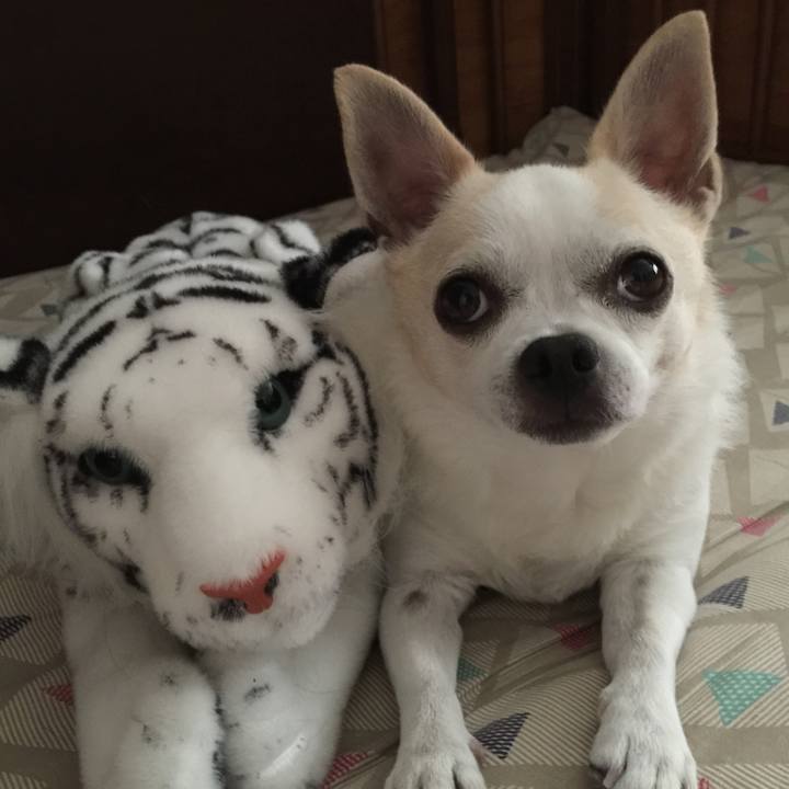 1643f98e 869f 4f2d 8625 e6f140ca4645