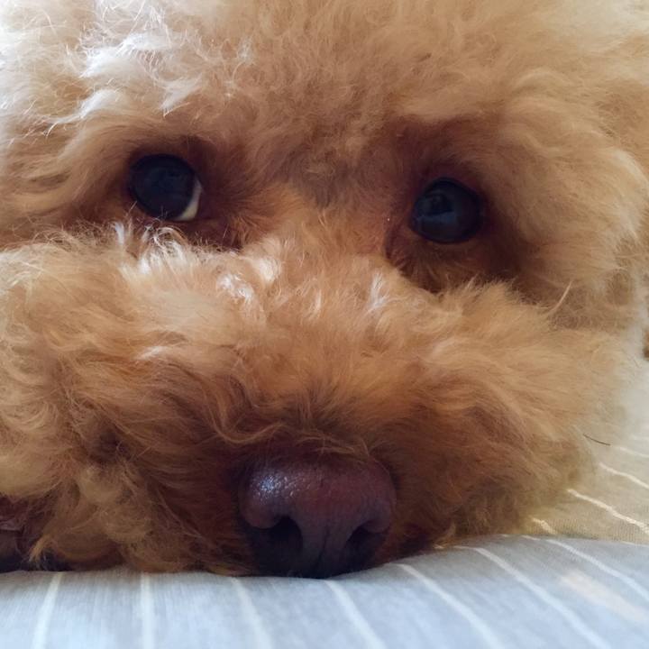 164524a9 3ba0 41be a5ce 79989b457c04