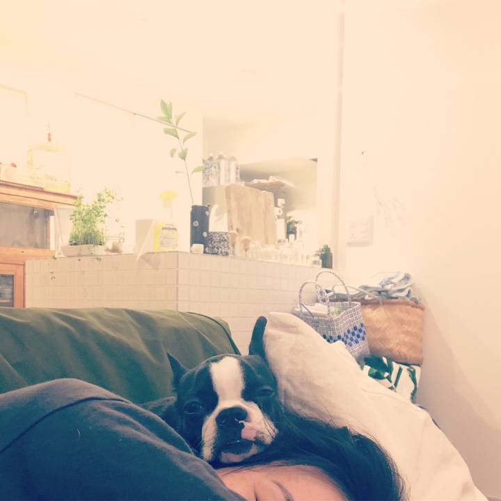 164554cc 338b 423c a80e 838514ebc92d