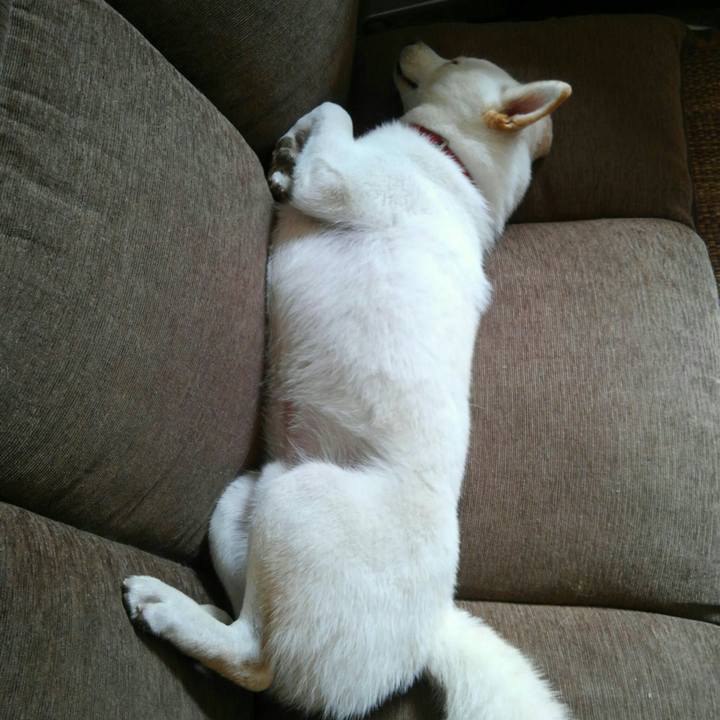 1645b1b6 89f7 416e bdf5 1cb96f88f048