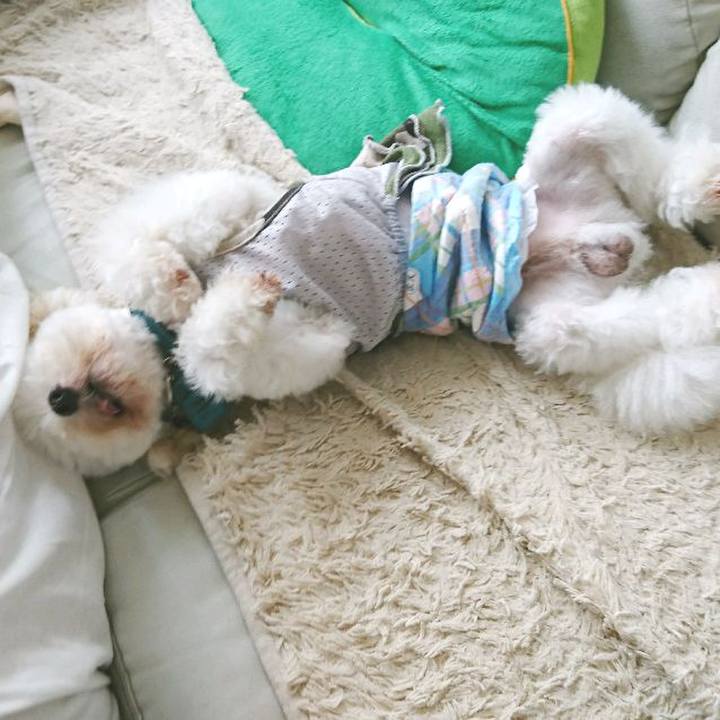 1645e278 a511 46b3 b120 790154da12fa