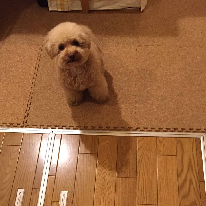 16460013 8dc1 4430 aeab dee3029ed975