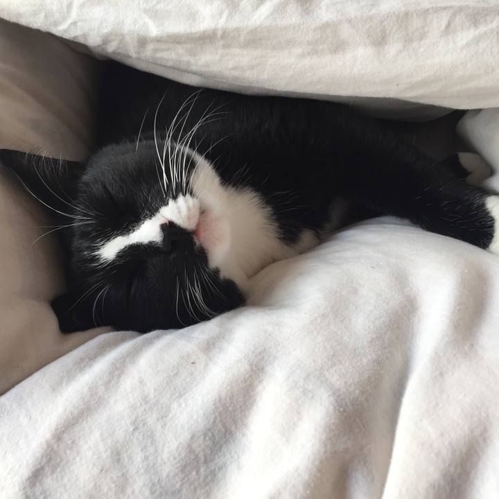 16463ca5 42d9 40ab b437 bb5bfd03be84