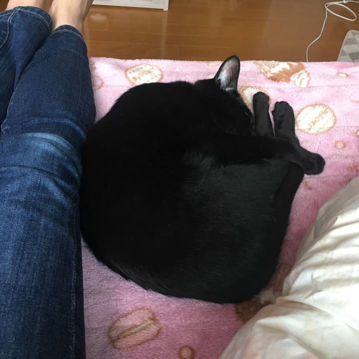 164695e7 69c4 4e6b 8d62 7b6b5f3804e8