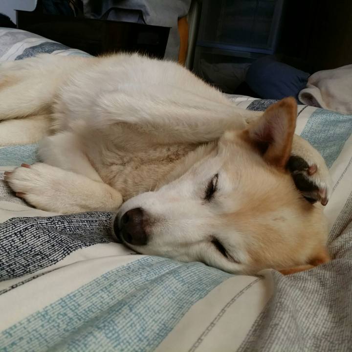 1646f972 25a3 4acc b97d 0ef3d1f299b5