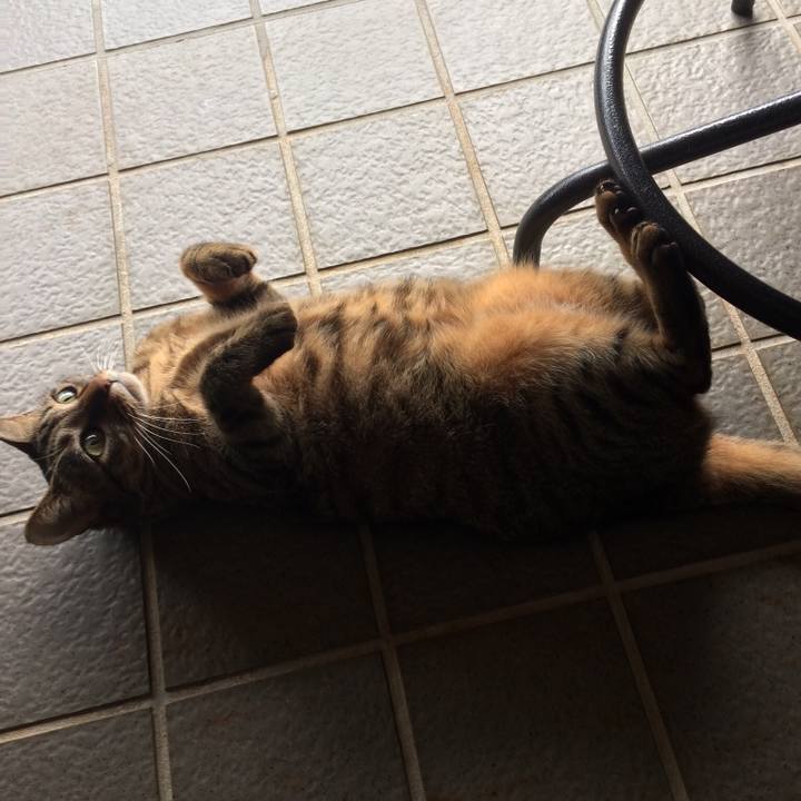 164711c3 6671 467b 9fb8 e87ea860d710