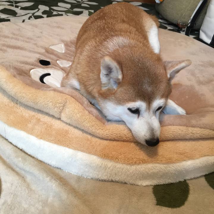 16477ced 36c8 4ed3 9220 4749ec2c0acd