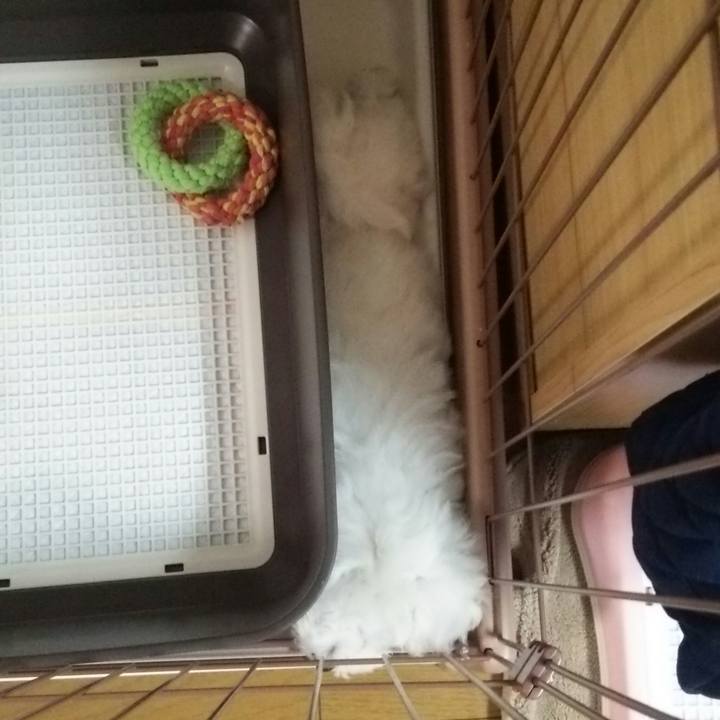 1647e161 cb85 4e79 b7b5 a24c1005bfb0