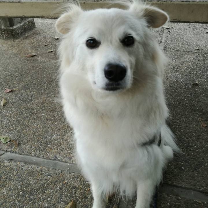 1647ea98 1685 4a44 b7d6 b5464e366725