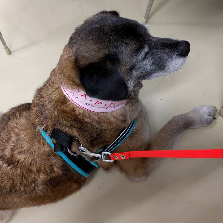 1647ebd7 a753 4619 9ae9 658024962e08