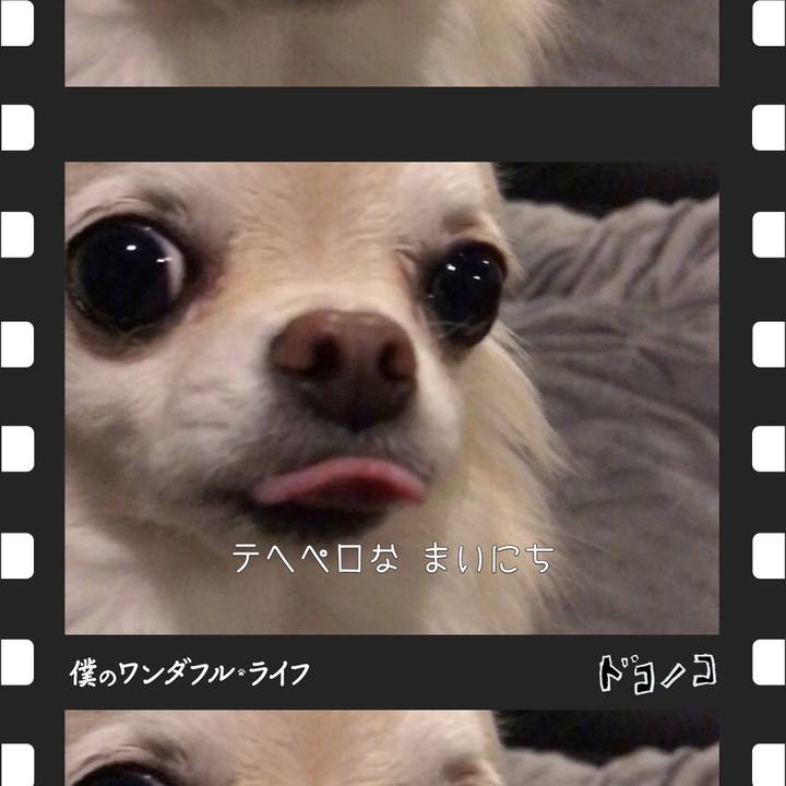 16492328 3d85 4095 b873 7102b6a5ed1a