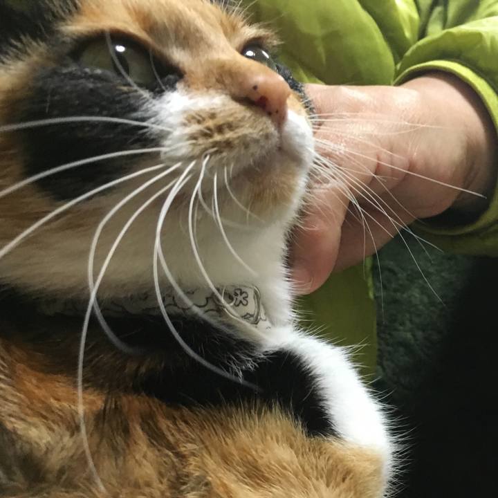 16493def 6520 4459 85be 465e4d3c588d