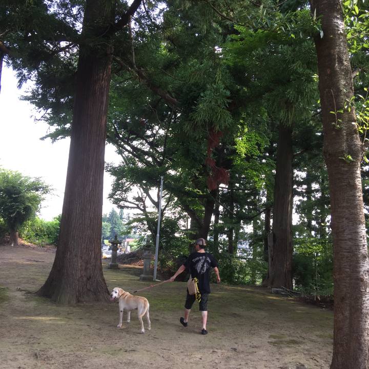 16497179 bb88 4653 8444 a2938be3e2f3