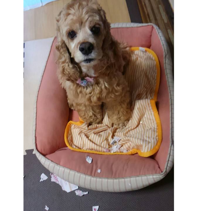 164a204b 78fa 4d7d 8aea 1818508449f0