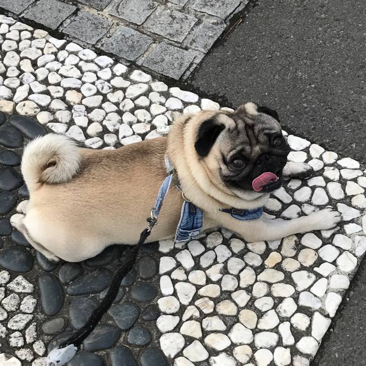 164aa639 5eb4 42b6 9c7e b595738f3595