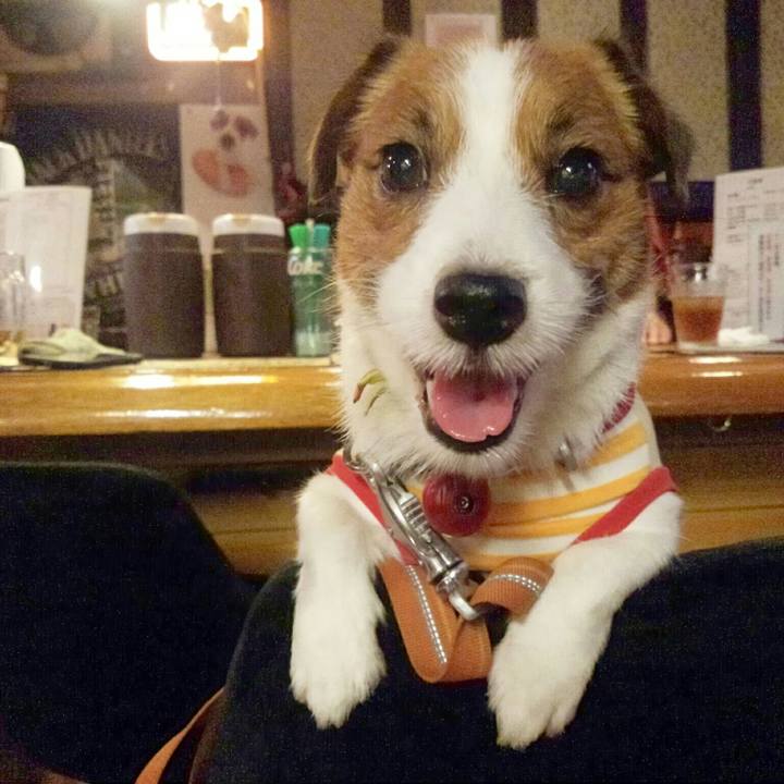 164aa711 8a7b 4fa6 89f0 0e9a5756833e