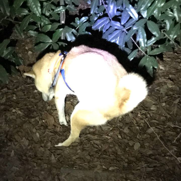 164b423c ac8c 4b27 bc22 5bac5ef1ead0