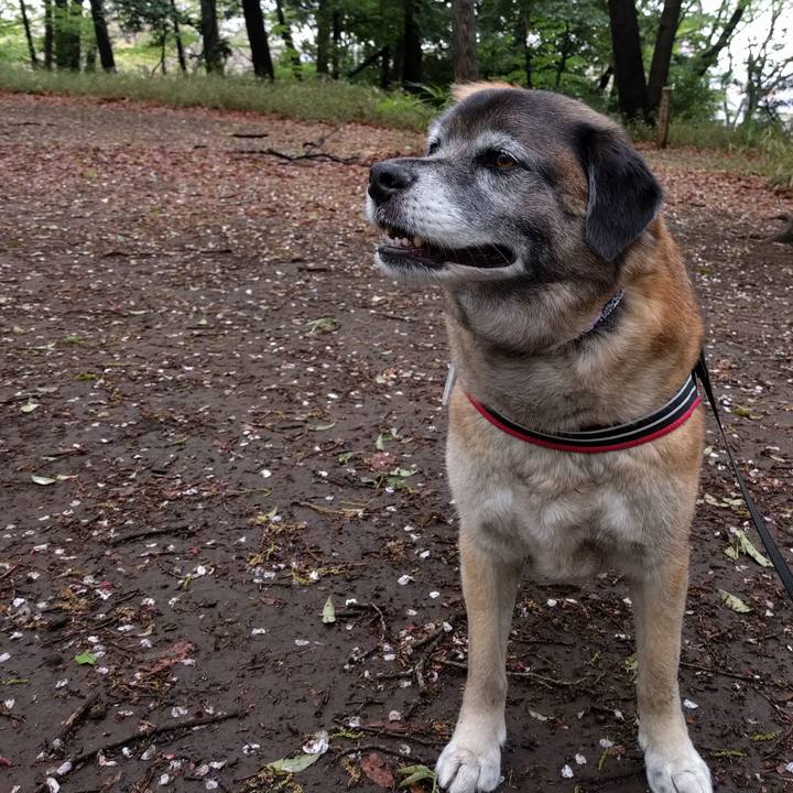 164ba9fa 9eb4 4202 87a0 4c7359cdde24