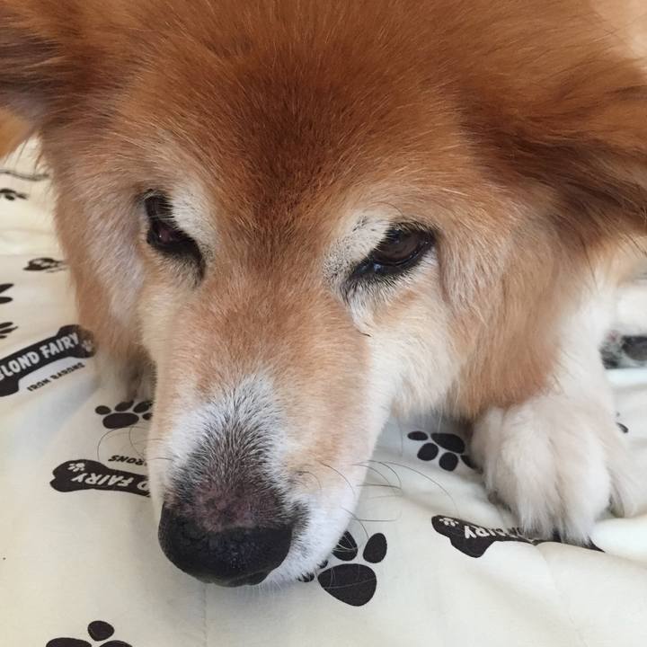 164bffa9 1ea9 442b bb9b 54d1e84f07df