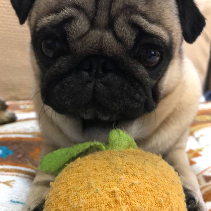 164c24a8 c0b9 483d a028 b6d79c4735de