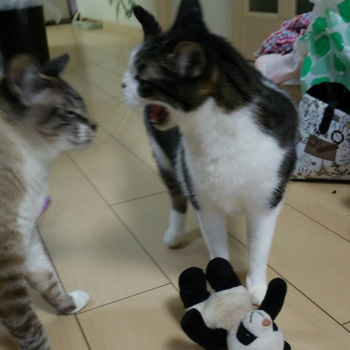 164c2b9d eeda 4f6f bc3d 295a077a7923