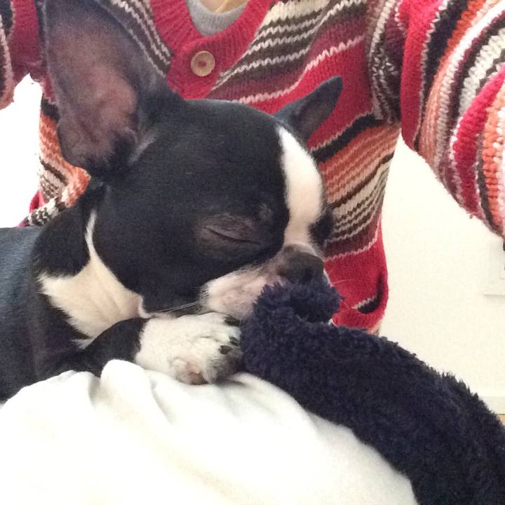 164c2bde 35ea 4ef4 91d9 fe8acf4d9364