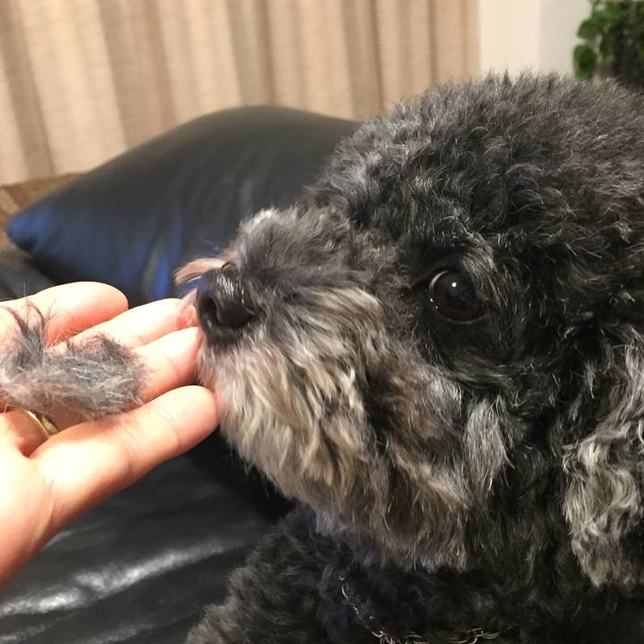 164c5ef5 807f 4eef 9753 4ec9150df569