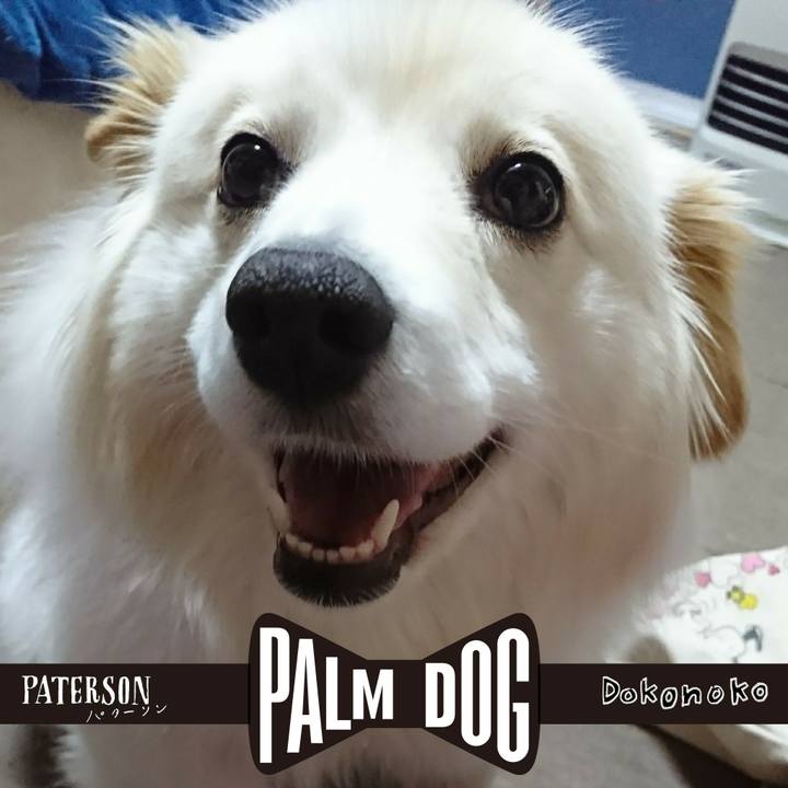 164c6fa2 b6ff 4861 958b 94aab9548c24