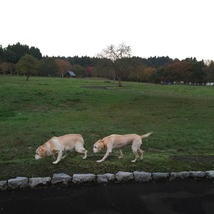 164d45b5 a998 436e a12d bc0921c8a696